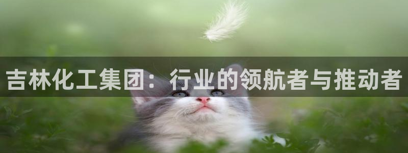 球盟会黑款吗还是白款：吉林化工集团：行业的领航者与推动者