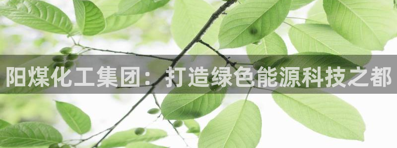 球盟会登陆：阳煤化工集团：打造绿色能源科技之都