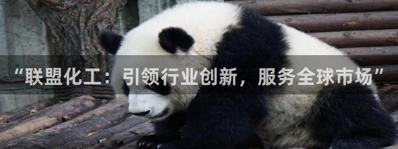 球盟会官网：“联盟化工：引领行业创新，服务全球市场”