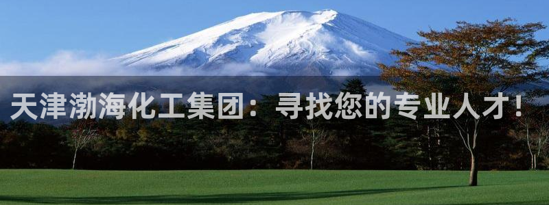 球盟会黑台子吗：天津渤海化工集团：寻找您的专业人才！