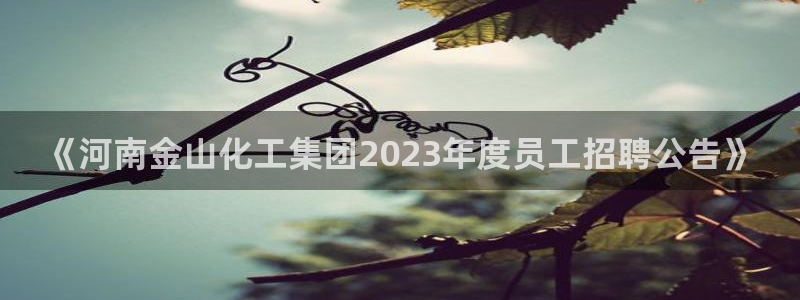 球盟会有没有黑单的人：《河南金山化工集团2023年度员工招聘