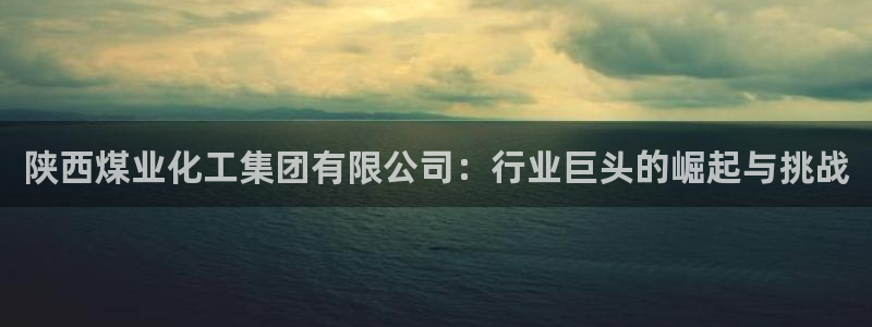 球盟会黑台子：陕西煤业化工集团有限公司：行业巨头的崛起与挑战