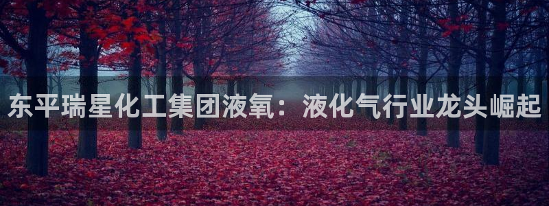 球盟会官网登录入口：东平瑞星化工集团液氧：液化气行业龙头崛起
