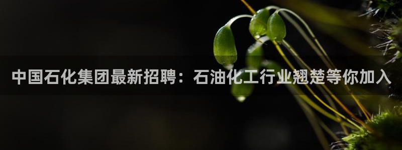 球盟会最新活动