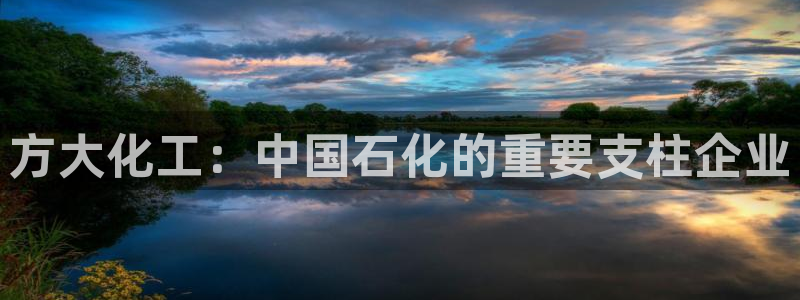 球盟会头号玩家：方大化工：中国石化的重要支柱企业