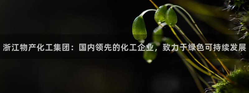 球盟会网址：浙江物产化工集团：国内领先的化工企业，致力于绿色