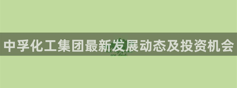 球盟会黑钱：中孚化工集团最新发展动态及投资机会