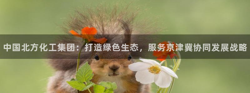 球盟会app最新地址在哪看：中国北方化工集团：打造绿色生态，