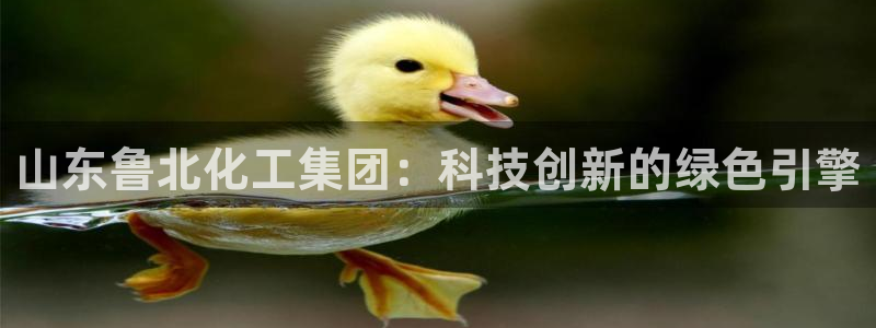 球盟会网页版登陆：山东鲁北化工集团：科技创新的绿色引擎