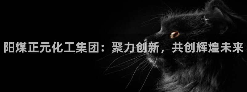 千亿球盟会乐玩：阳煤正元化工集团：聚力创新，共创辉煌未来