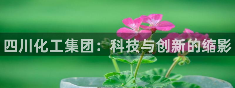 球盟会官方网站：四川化工集团：科技与创新的缩影
