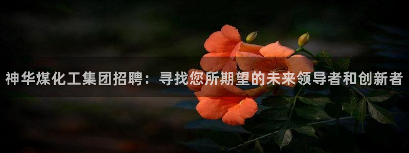 球盟会可靠不：神华煤化工集团招聘：寻找您所期望的未来领导者和