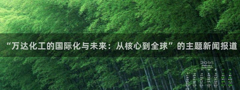 球盟会官网网页版：“万达化工的国际化与未来：从核心到全球”的