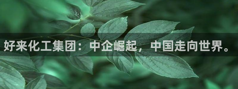 球盟会app最新地址在哪找：好来化工集团：中企崛起，中国走向