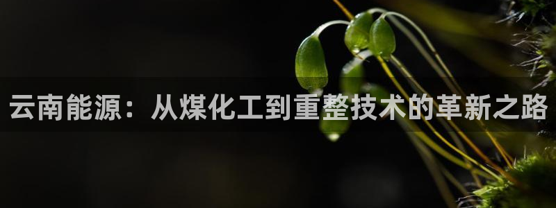球盟会官方客服：云南能源：从煤化工到重整技术的革新之路