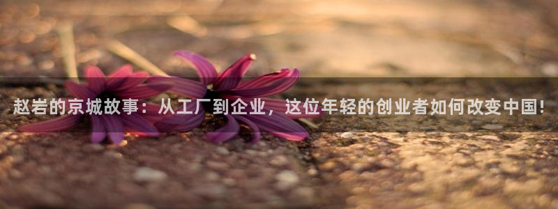 球盟会在线官网：赵岩的京城故事：从工厂到企业，这位年轻的创业