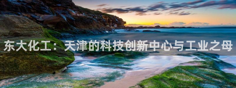 球盟会黑款吗知乎文章：东大化工：天津的科