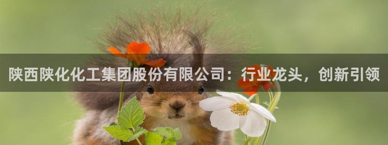 球盟会app网址多少：陕西陕化化工集团股