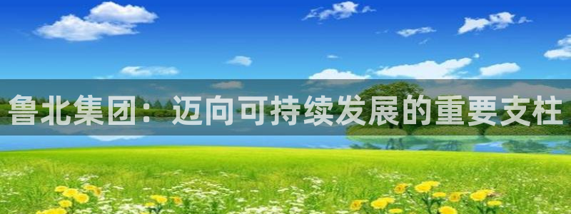 球盟会提款支付宝怎么样：鲁北集团：迈向可