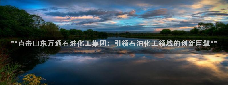 球盟会黑钱：**直击山东万通石油化工集团
