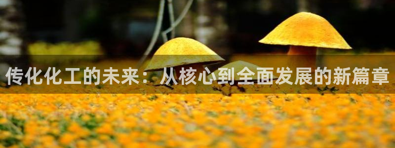 球盟会官方下载：传化化工的未来：从核心到全面发展的新篇章