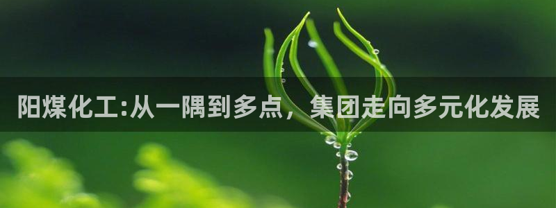 球盟会提款支付宝怎么样：阳煤化工:从一隅到多点，集团走向多元