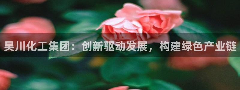 球盟会登录平台：吴川化工集团：创新驱动发