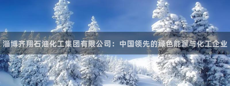 球盟会官方最新入口：淄博齐翔石油化工集团有限公司：中国领先的