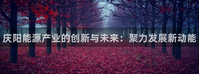 球盟会和中欧会的区别：庆阳能源产业的创新与未来：聚力发展新动