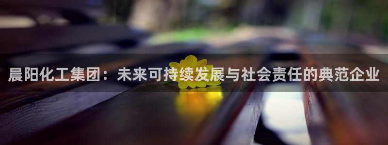 球盟会黑台：晨阳化工集团：未来可持续发展