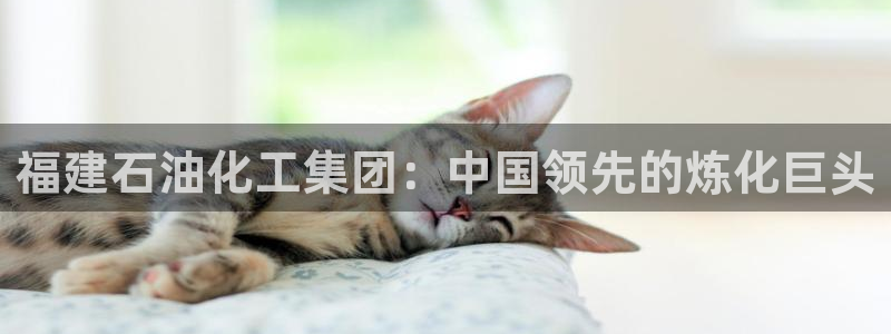 球盟会网页版：福建石油化工集团：中国领先