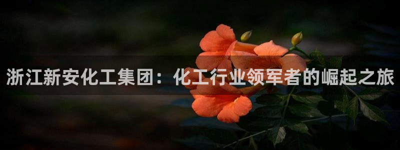 球盟会qmh网页版登录