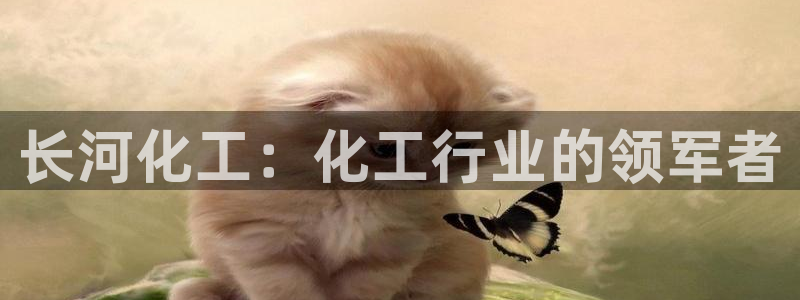 球盟会登录平台入口