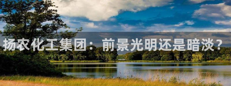 球盟会有限公司怎么样