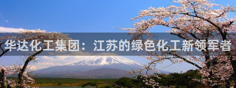 球盟会游戏：华达化工集团：江苏的绿色化工新领军者