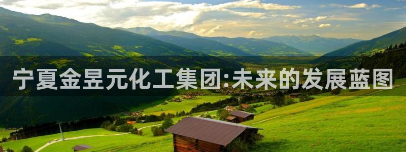 球盟会国际官网：宁夏金昱元化工集团:未来的发展蓝图