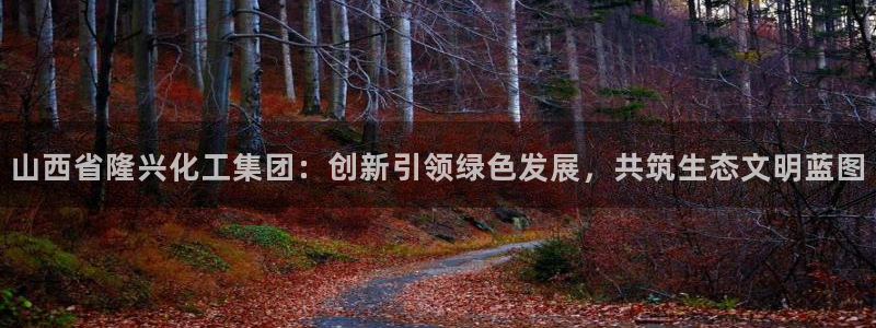 球盟会网页登录入口：山西省隆兴化工集团：创新引领绿色发展，共