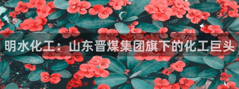 球盟会官网入口