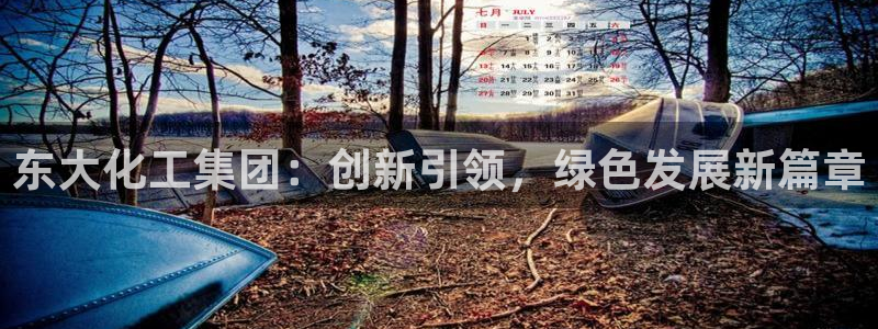 球盟会用的客服聊天是哪个软件：东大化工集团：创新引领，绿色发