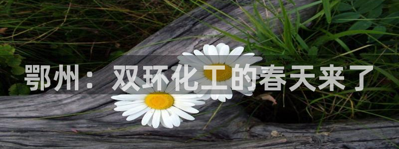 球盟会能退钱吗知乎：鄂州：双环化工的春天来了
