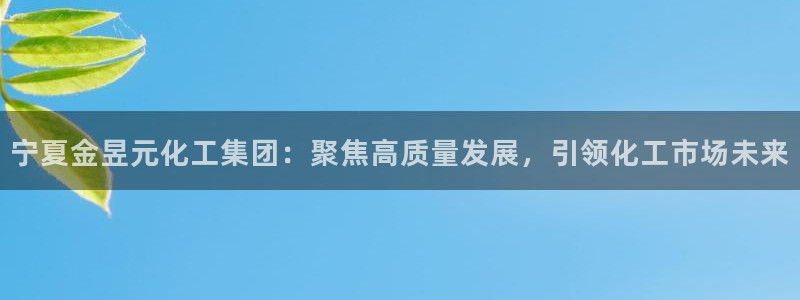 球盟会体育app官方网站：宁夏金昱元化工集团：聚焦高质量发展