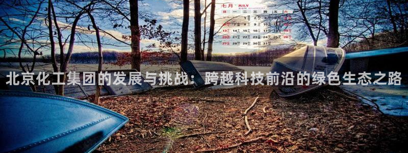 球盟会提款支付宝怎么样：北京化工集团的发展与挑战：跨越科技前