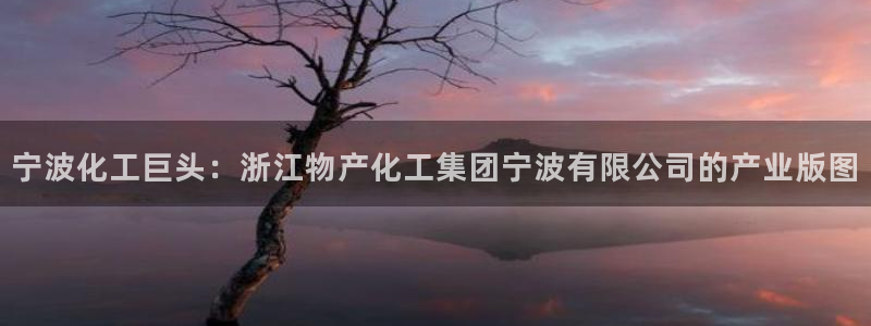 球盟会app网址多少：宁波化工巨头：浙江物产化工集团宁波有限