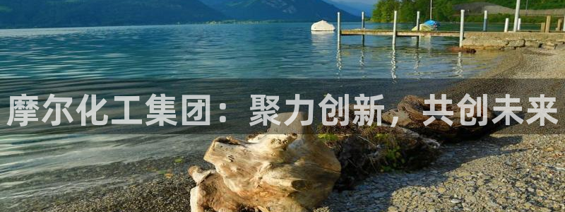 球盟会网页登录app下载地址：摩尔化工集团：聚力创新，共创未