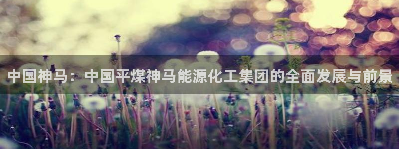 球盟会优惠领取网站：中国神马：中国平煤神马能源化工集团的全面