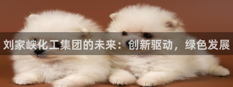 球盟会官方app首页入口：刘家峡化工集团的未来：创新驱动，绿