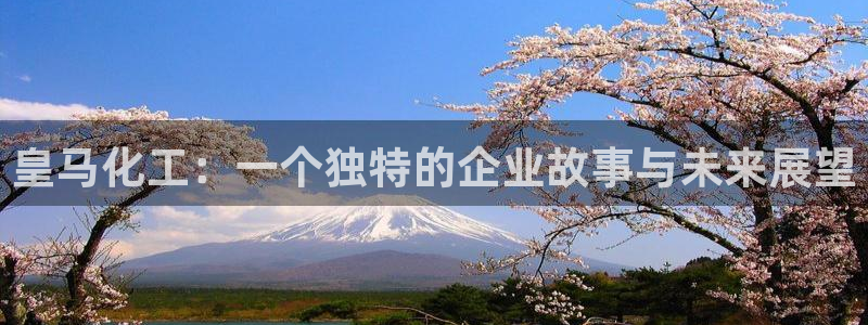 球盟会平台怎么样：皇马化工：一个独特的企业故事与未来展望