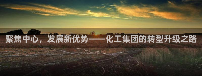 球盟会qmh：聚焦中心，发展新优势——化工集团的转型升级之路