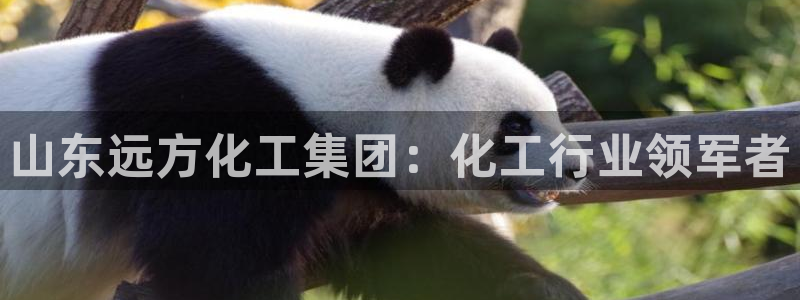 球盟会黑款吗知乎文章