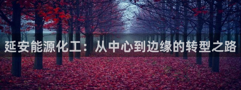 球盟会连接：延安能源化工：从中心到边缘的